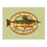 Catch and Release Fishing Post Cards