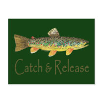 Catch and Release Fishing Postcards