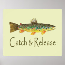 Catch and Release Fishing Posters