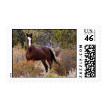 Catch Me If You Can Postage Stamps