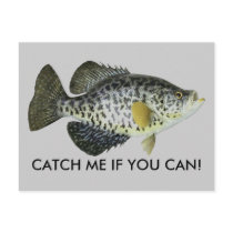 CATCH ME IF YOU CAN! POSTCARD