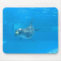 Catch of the Day mousepads