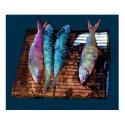 CATCH OF THE DAY posters by insomniacgear CATCH OF THE DAY posters