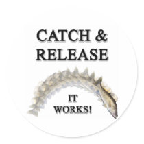 Catch & Release stickers