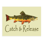 Catch & Release Trout Fishing Post Cards