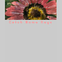 Catch Some Rays Sunflower Dark T-Shirt Apparel by lillyarts Catch Some Rays Sunflower Dark T-Shirt Apparel