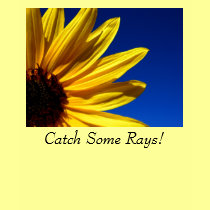 Catch Some Rays! Sunflower T-Shirt