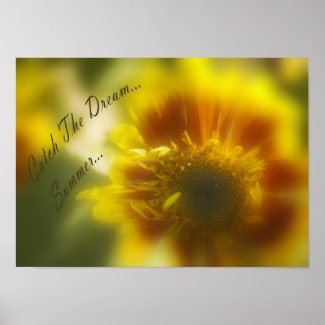 Catch the Dream Sunflower Poster print