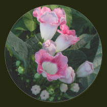 Catch the Light 2 stickers