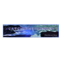 Catch The Vision 1 posters