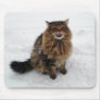 Catching a snowflake mousepad