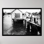 Catching Crabs at Colonial Beach, VA 1914 Posters