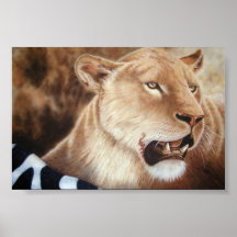 Catching her breath - Lioness Print
