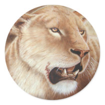 Catching her breath - Lioness Round Sticker