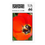 Catching rays postage