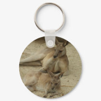 Catching the rays keychains
