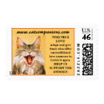 CatCompanions.com Logo copy, FIND TRUE LOVE!Ado... postage