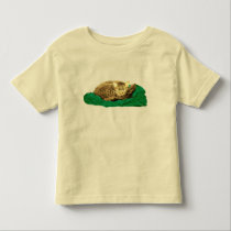 catCurled t-shirts