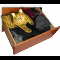 catDrawer t-shirts