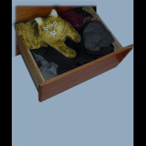 catDrawer t-shirts