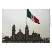 Catedral en el Zocalo del DF con la Bandera Greeting Cards