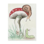 Caterpillar and Snail Post Cards