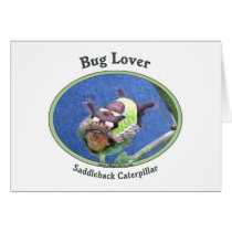 Caterpillar Bug Lover Greeting Cards