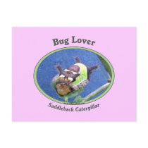 Caterpillar Bug Lover Postcards
