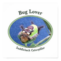 Caterpillar Bug Lover Posters
