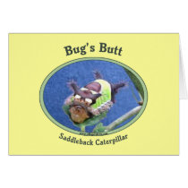 Caterpillar Bug's Butt Cards