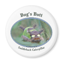 Caterpillar Bug's Butt Refrigerator Magnet