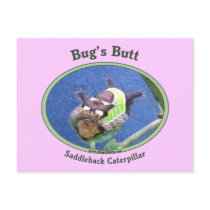 Caterpillar Bug's Butt Postcards