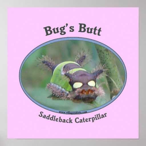 Caterpillar Bug's Butt Print