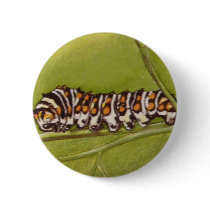 caterpillar buttons
