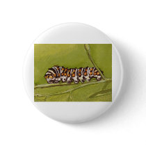 caterpillar buttons