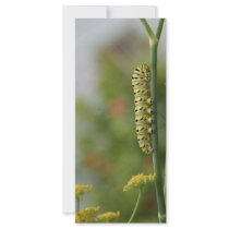 Caterpillar climbing up a branch bookmark personalized rack card