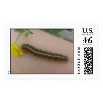 Caterpillar Postage