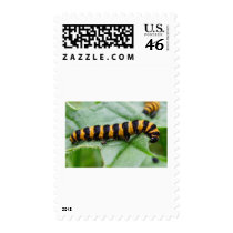 caterpillar postage stamps