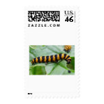 caterpillar postage