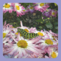 Caterpillar Stroll Sticker stickers