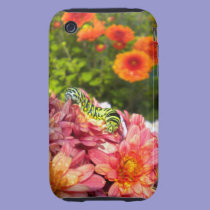 Caterpillar Sunning iPhone 3 case casemate cases