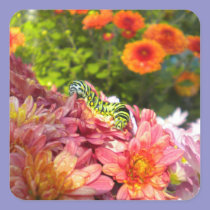Caterpillar Sunning Stickers stickers