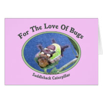 Caterpillar The Love Of Bugs Greeting Card