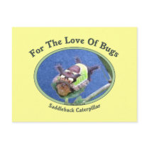 Caterpillar The Love Of Bugs Postcards