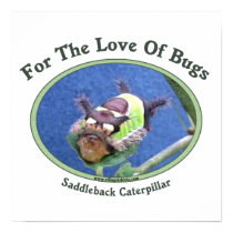 Caterpillar The Love Of Bugs Print