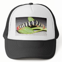 Caterpillar Thriller hats by AnimalKingdvmDesigns Caterpillar Thriller hats