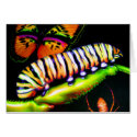 Caterpillar with Butterfly and Spider Art cards