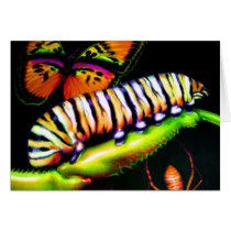 Caterpillar with Butterfly and Spider Art cards