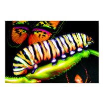 Caterpillar with Butterfly and Spider Art posters