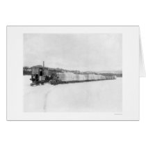 Caterpillar Yukon Freight 1924 cards